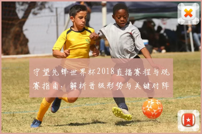 守望先锋世界杯2018直播赛程与观赛指南，解析晋级形势与关键对阵