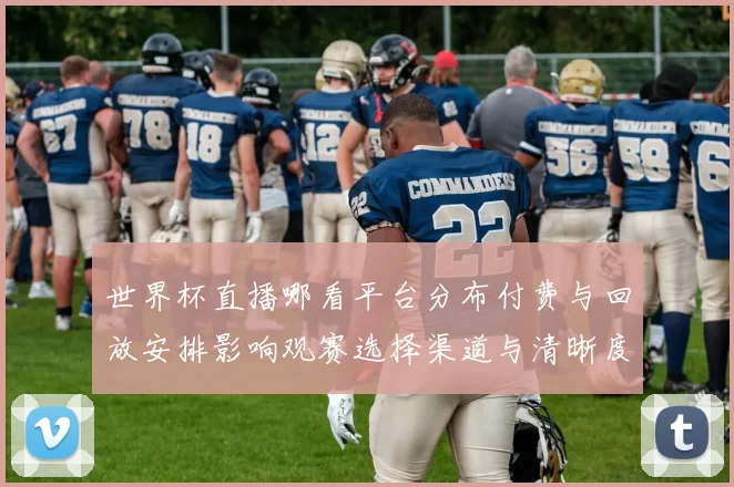 世界杯直播哪看平台分布付费与回放安排影响观赛选择渠道与清晰度