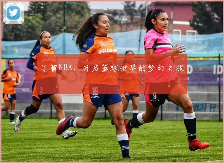 了解NBA，开启篮球世界的梦幻之旅