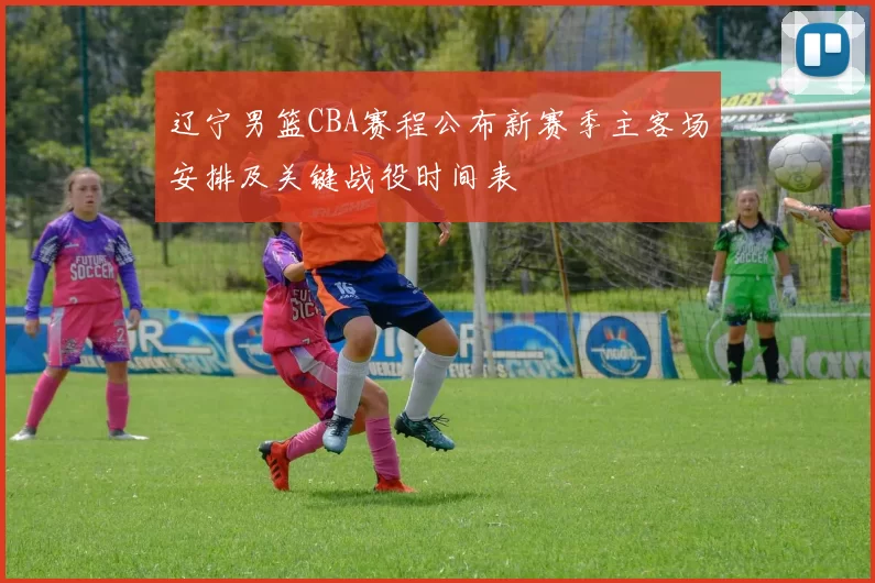 辽宁男篮CBA赛程公布新赛季主客场安排及关键战役时间表